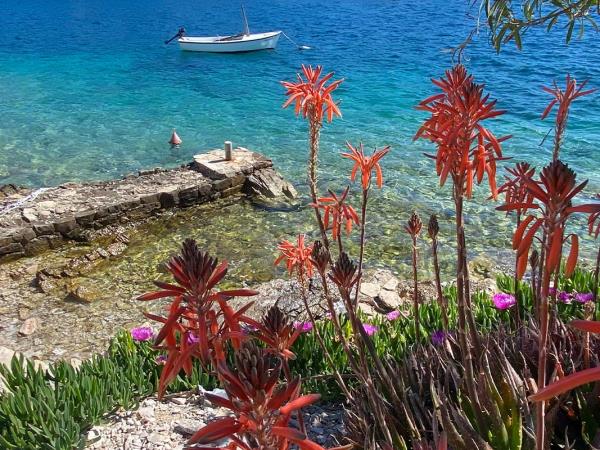 Active holiday in Trogir, Croatia