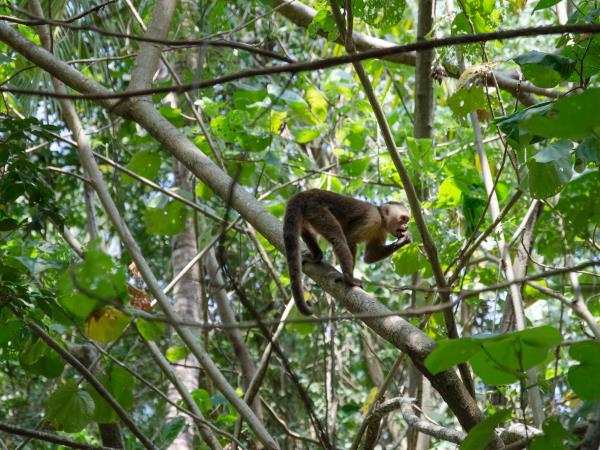 Colombia trekking holiday, hidden Colombia