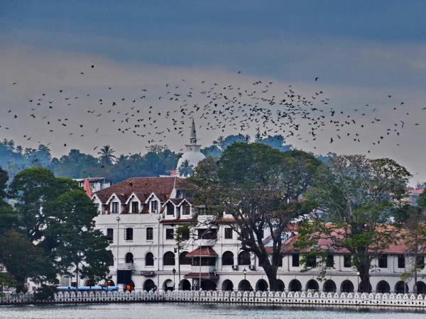 Sri Lanka holiday, island explorer