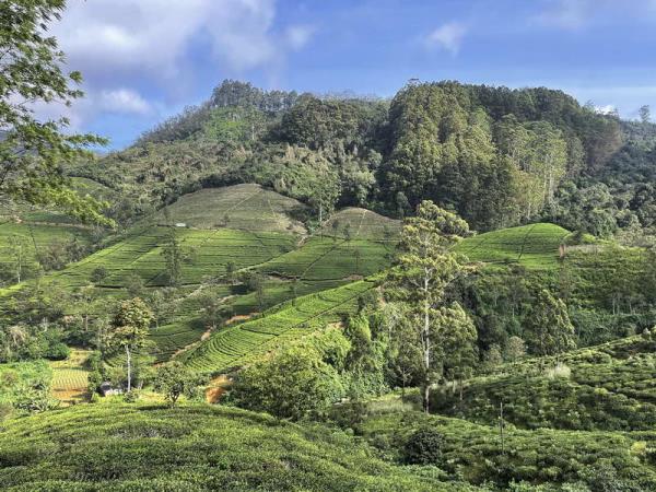 Sri Lanka holiday, island explorer