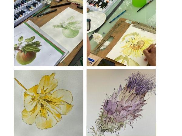 Botanical painting & yoga holiday, Portugal