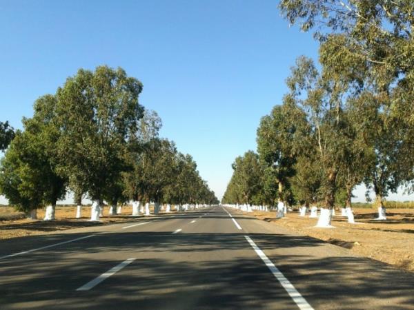 Morocco holiday, central highlights