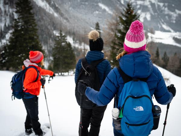 Austria winter walking and cross-country ski holiday