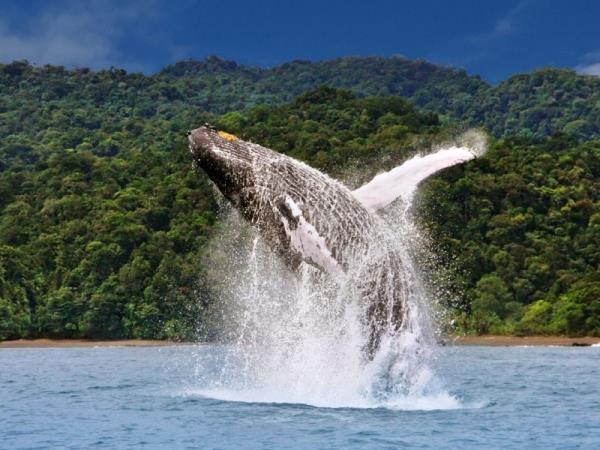 Colombia 19 day tour, Epic Odyssey