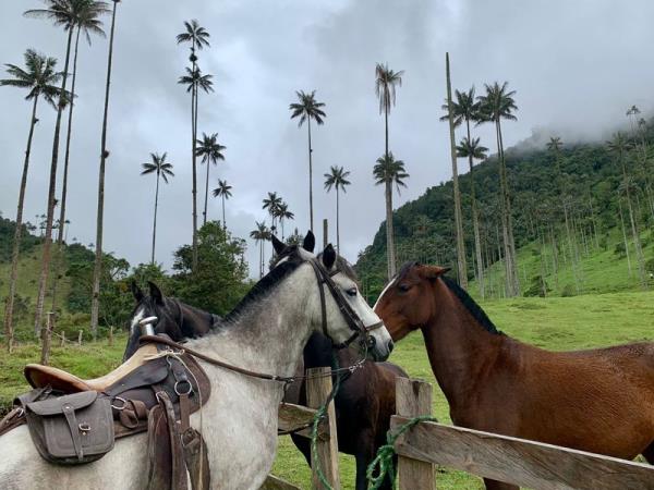 Colombia 19 day tour, Epic Odyssey