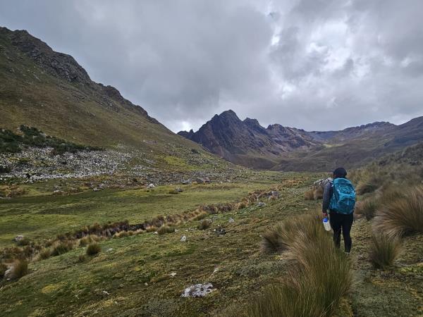 Lares homestay trek in Peru