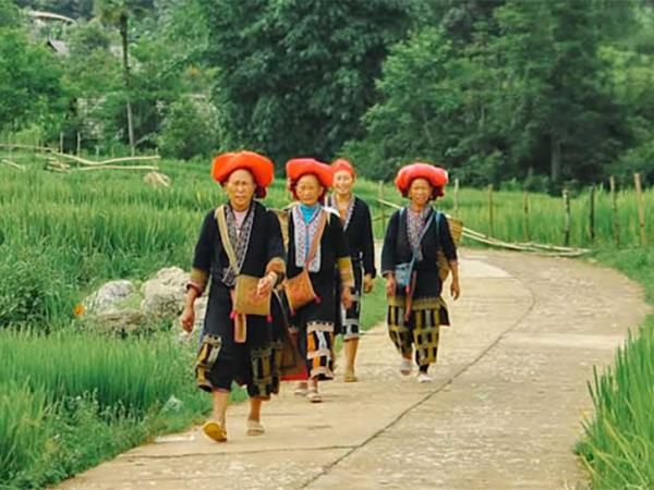 Vietnam hill tribe trek and homestay