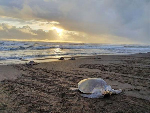 Costa Rica holiday, off the beaten track