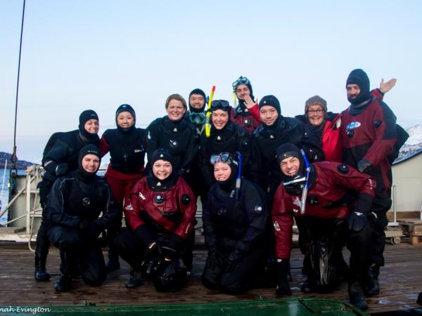 Swim with orcas in fjords of Norway