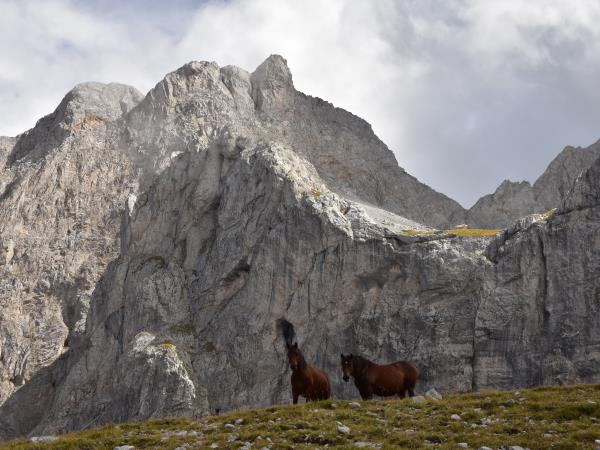 Montenegro hiking holiday