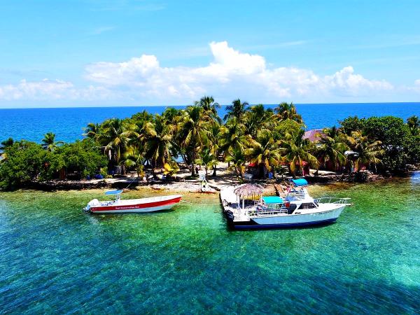 Sea turtle conservation, Belize