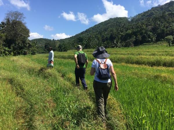 Sri Lanka Walking Holidays