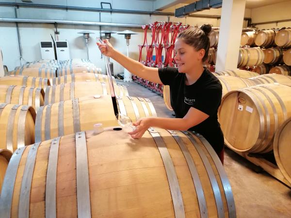 Wine and culture in Bulgaria holiday