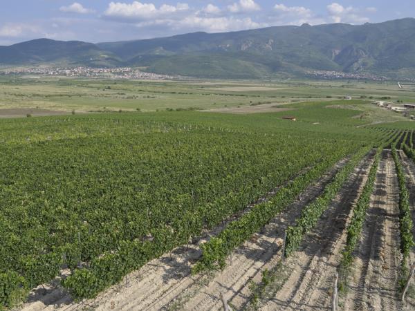 Wine and culture in Bulgaria holiday