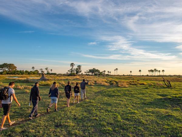 Botswana safari and wild camping