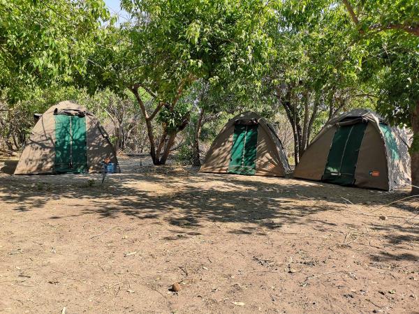 Botswana safari and wild camping