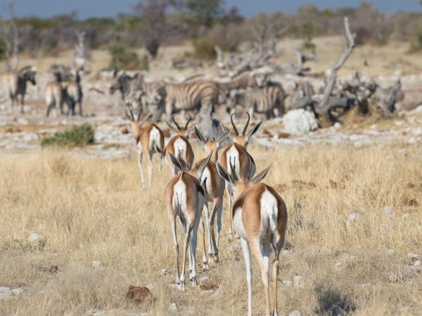 Cape Town to Victoria Falls small group camping safari