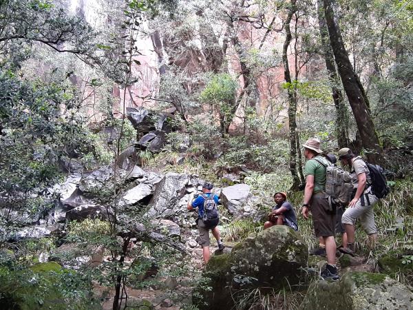South Africa walking safari