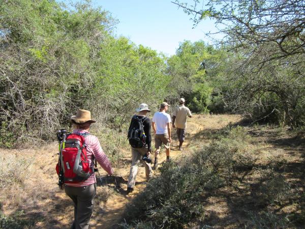 South Africa walking safari