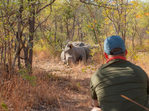 Zambia and Zimbabwe adventure holiday