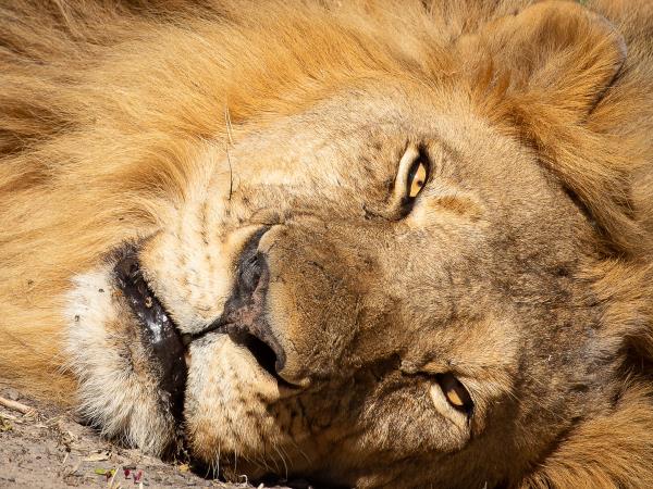 Zambia and Zimbabwe adventure holiday