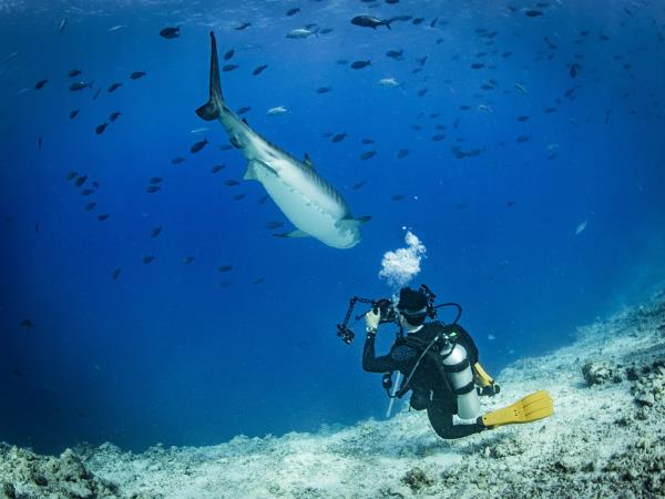 Maldives scuba diving holiday