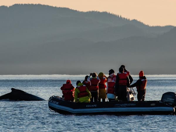 Alaska wildlife & wilderness cruise