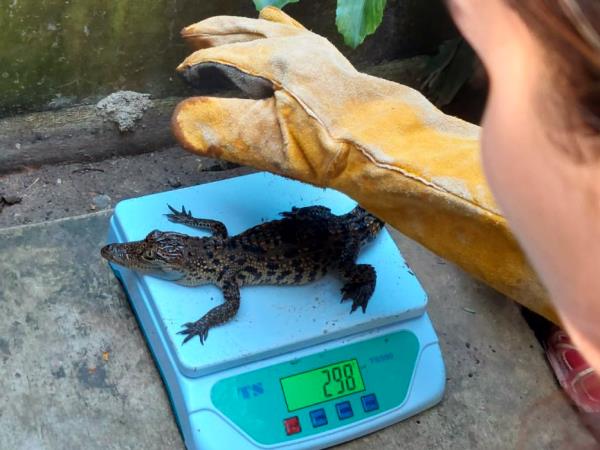 Laos Wildlife sanctuary volunteering holiday