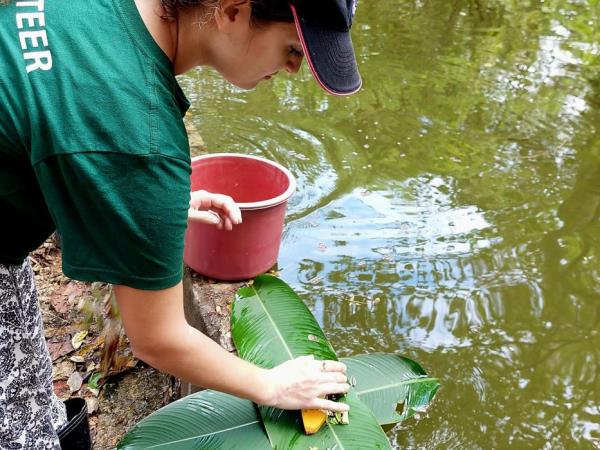 Laos Wildlife sanctuary volunteering holiday