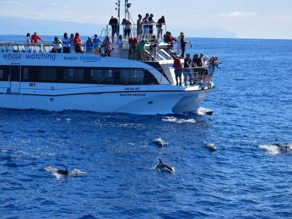 Azores tour, island explorer