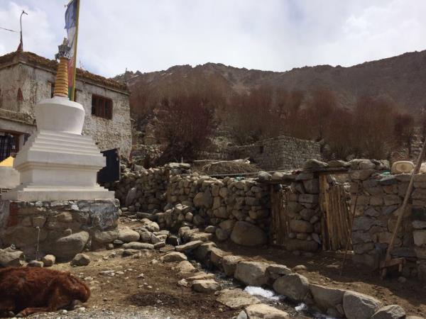 Ladakh lodge trekking holiday