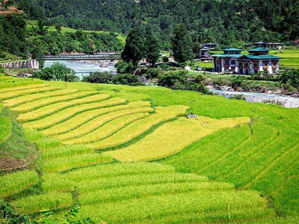 Bhutan activity holiday