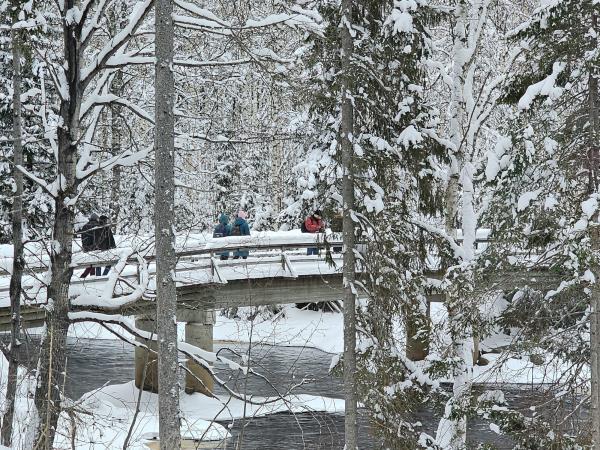 Finland wilderness cabin and activities holiday