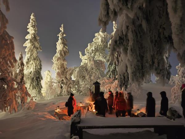 Finland wilderness cabin and activities holiday