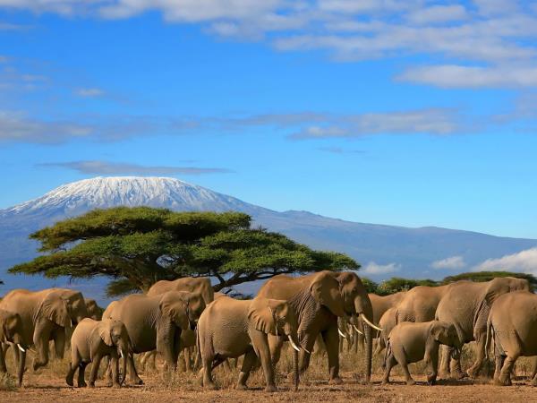 Kenya and Tanzania private safari holiday