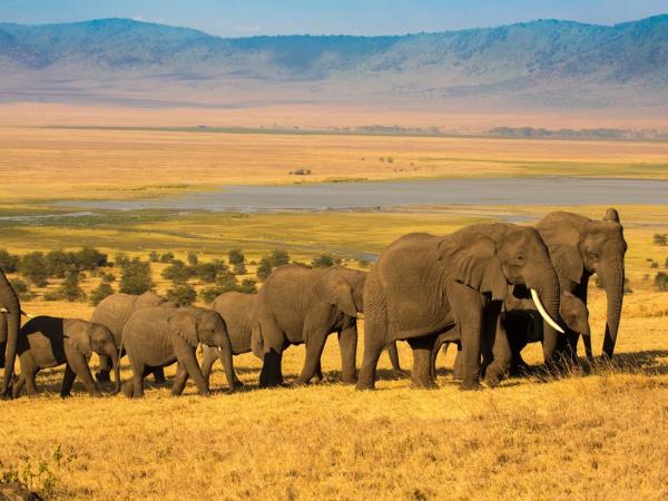 Kenya and Tanzania private safari holiday
