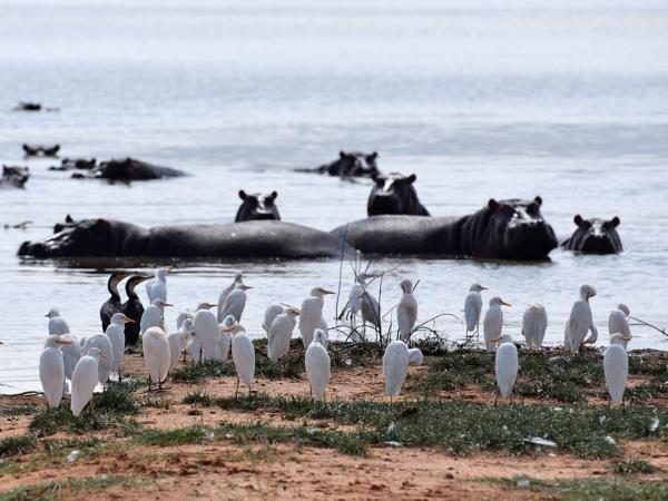 Kenya and Tanzania private safari holiday
