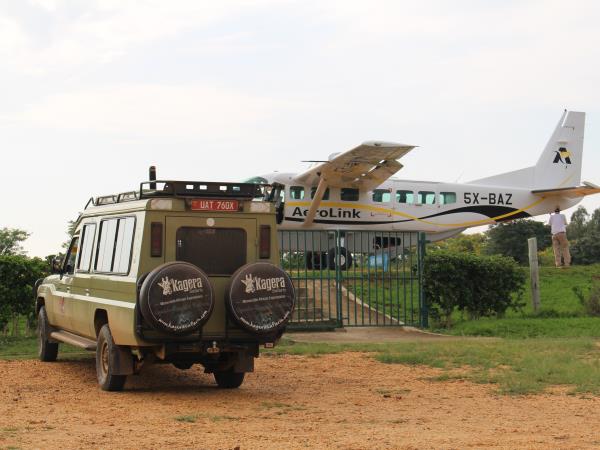Short gorilla fly in safari, Uganda