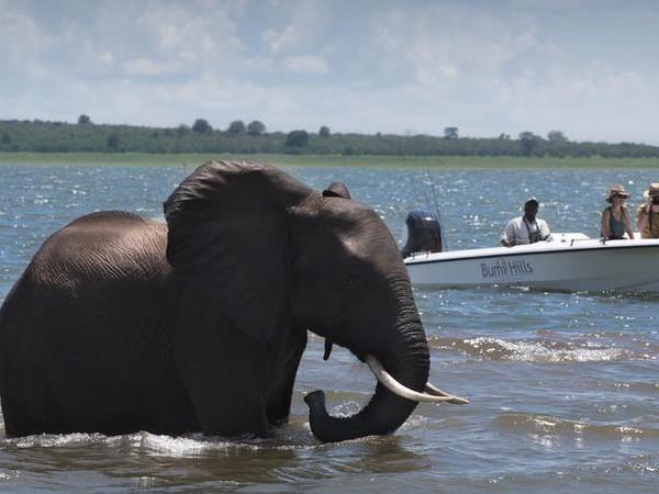 Zimbabwe tailor made holidays