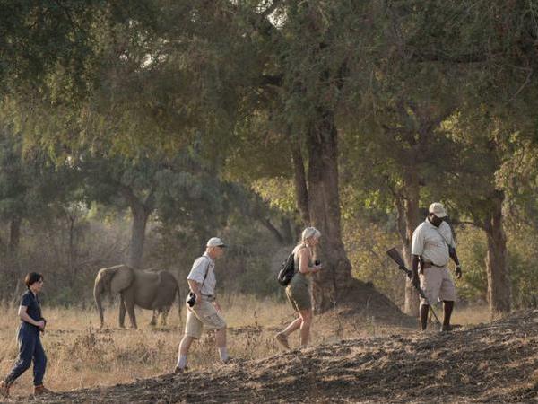Zimbabwe tailor made holidays