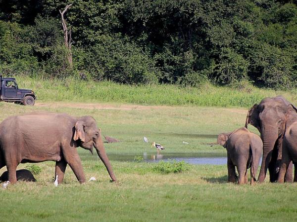 Sri Lanka cycling holiday, tailor made