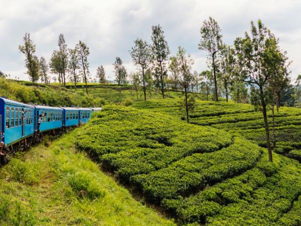 Sri Lanka cycling holiday, tailor made