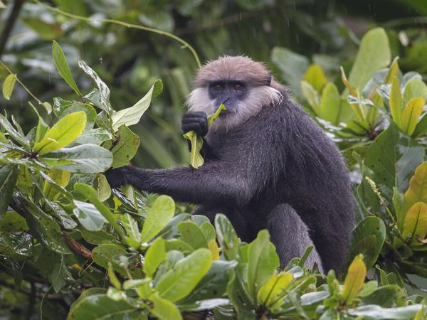 Sri Lanka cycling holiday, tailor made
