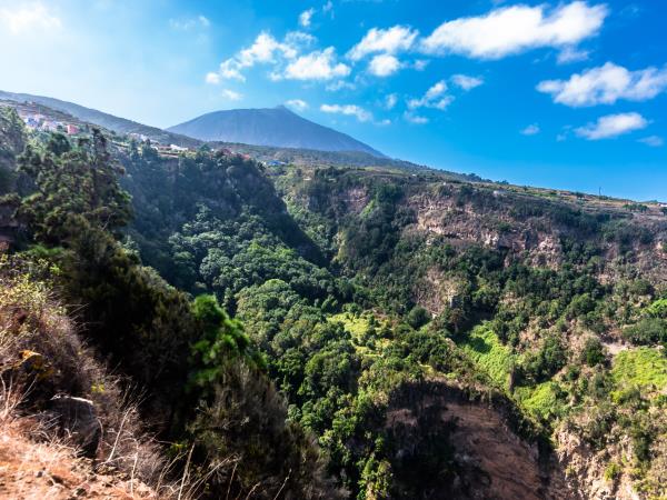 Tenerife holiday with Spanish lessons
