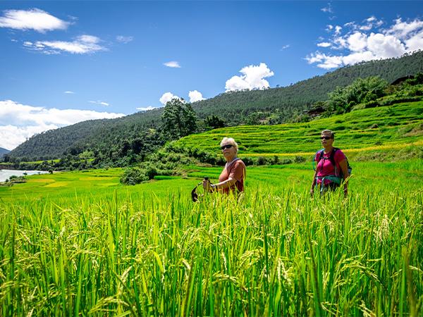 Western Bhutan walking holiday