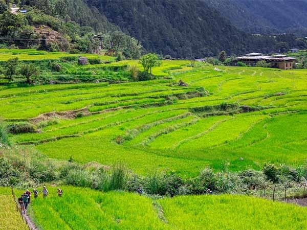 Western Bhutan walking holiday