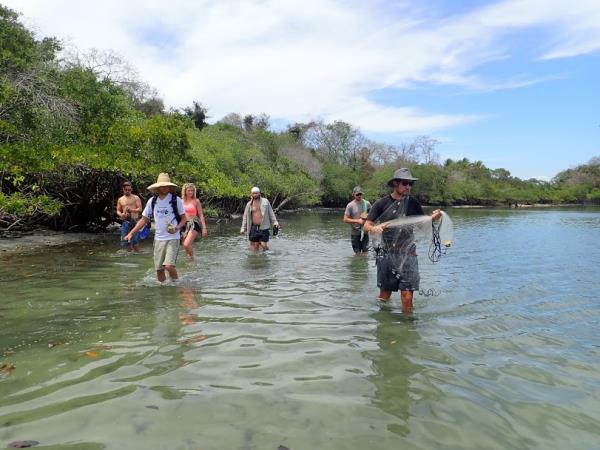 Desert island survival in Panama