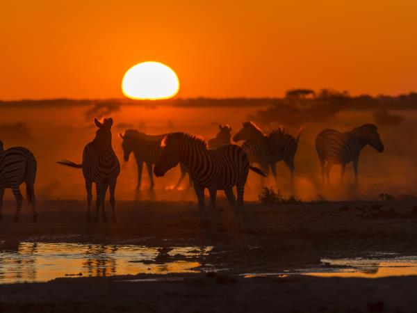 Nxai Pan and Okavango Delta safari, Botswana