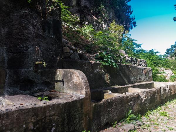 Learn Spanish and yoga in Tenerife