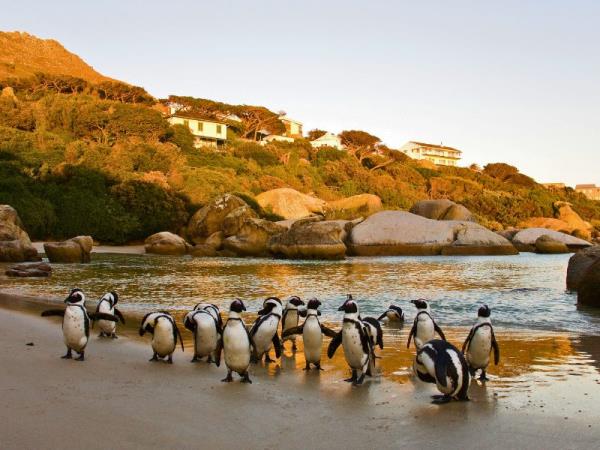 Cape Town to Johannesburg self drive holiday